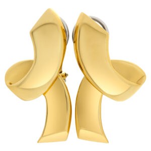 Tiffany & Co. X   Paloma Picasso Large earrings