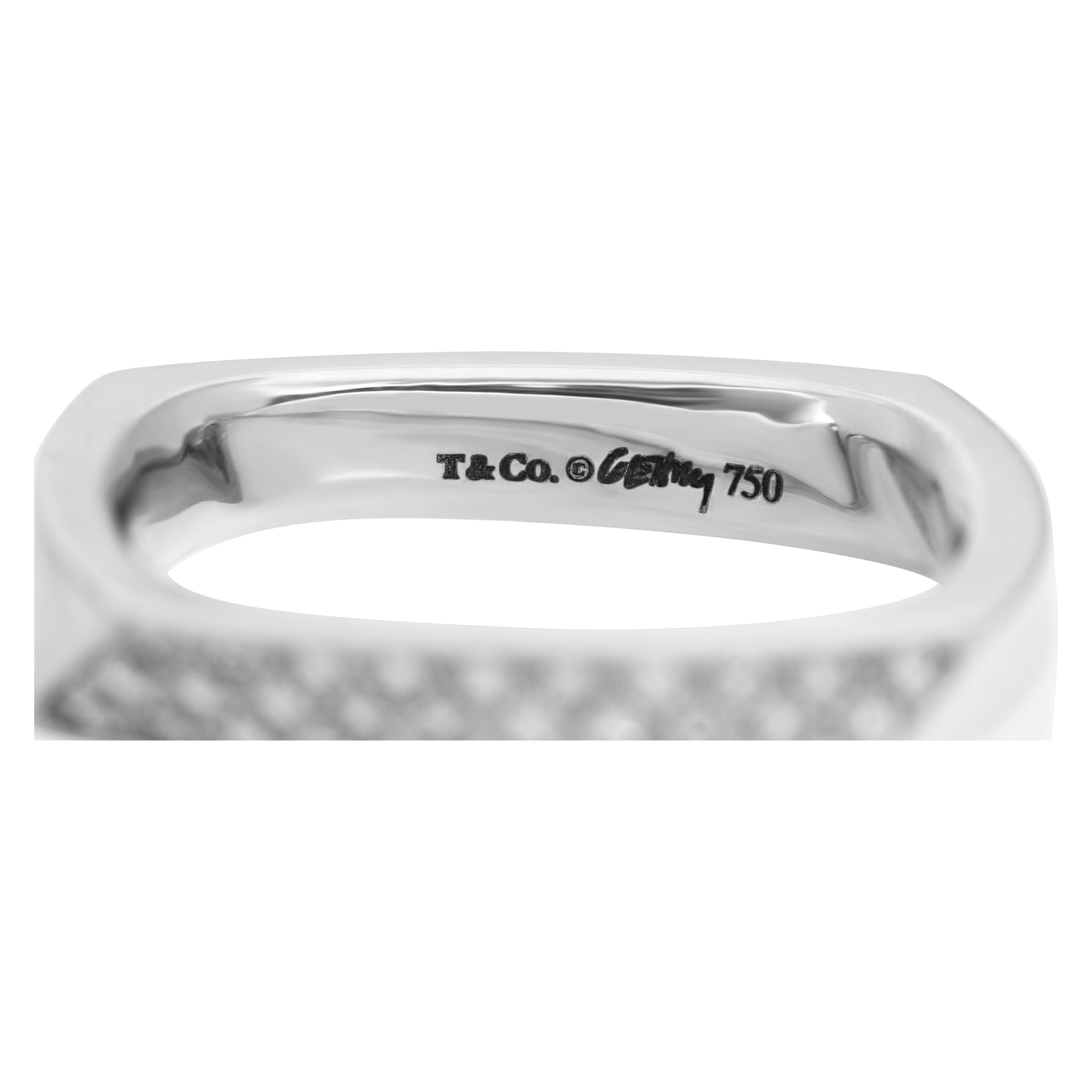 Frank gehry torque on sale ring