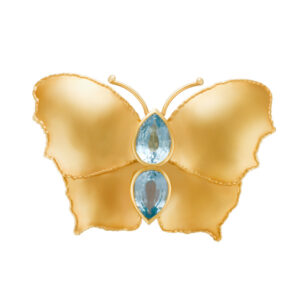 Stunning butterfly broach