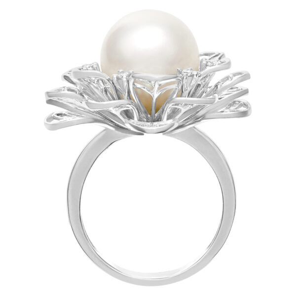 Beautiful 11.8mm South Sea Pearl ring set in 18k white gold. Size 7