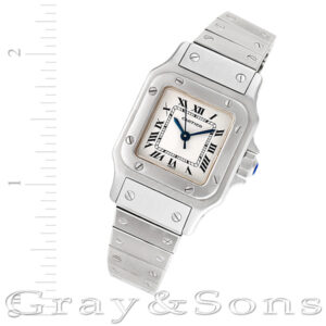 Cartier Santos w20054d6 stainless steel 23mm auto watch